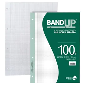 Ricambi forati rinforzati BandUP A4 100gr 40fg 4mm c/margine BM