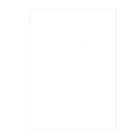 100 Copertine A4 cartoncino groffrato semilpelle 240g bianco Fellowes